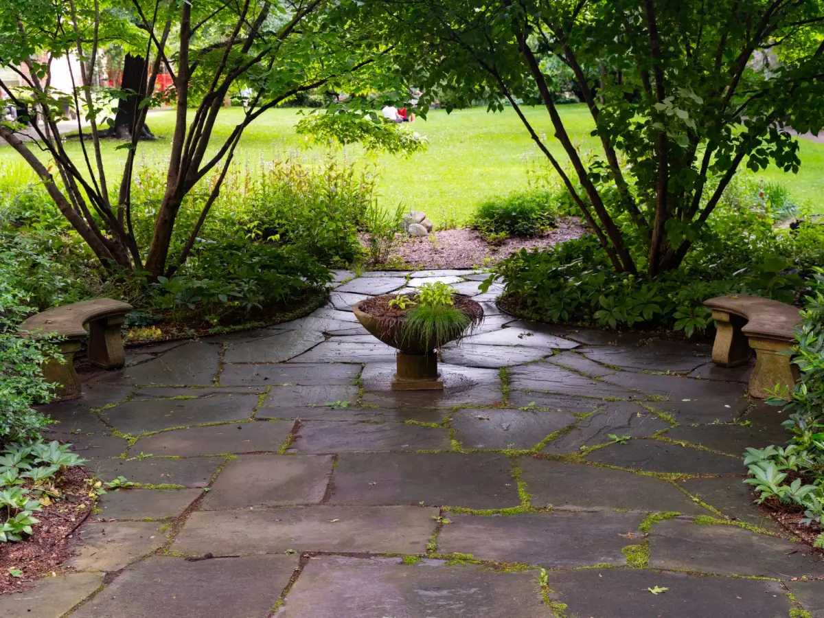 Weathered natural stone terrace with moss in the joints, under mature trees